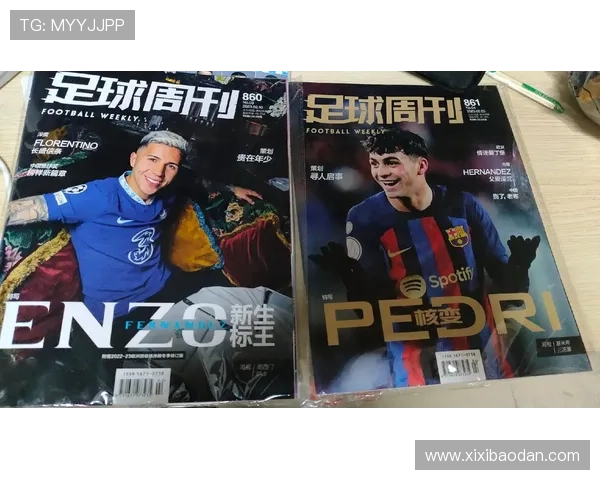 足球周刊2006年球星卡重温经典球员风采与精彩瞬间 足球周刊2006年球星卡重温经典球员风采与精彩瞬间