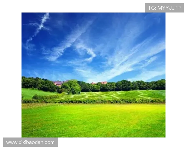 那曲足球球星成长之路与草原精神传承的励志故事